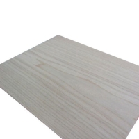 WPC Plywood Manufacturers and Exporters in Punjab